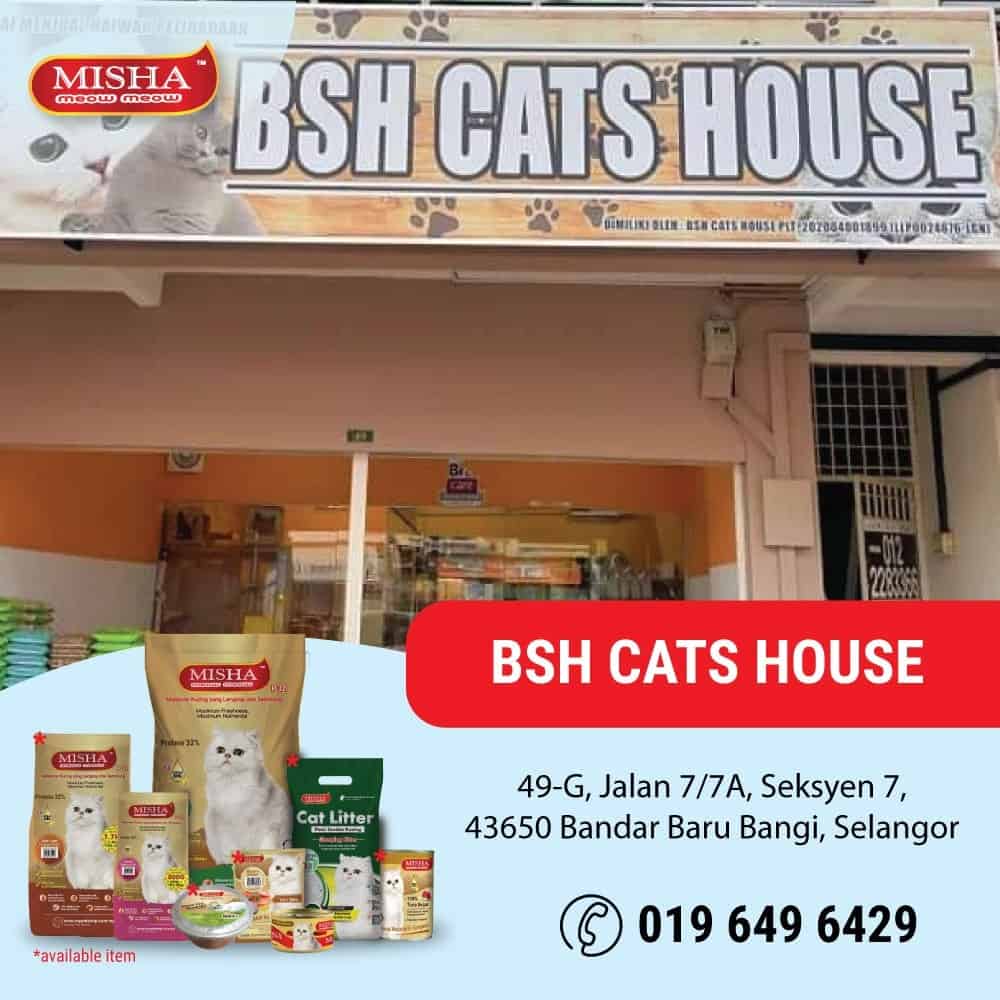 BSH Cat House (Cat Gromming & Boarding Bangi) Kedai Kucing Bangi