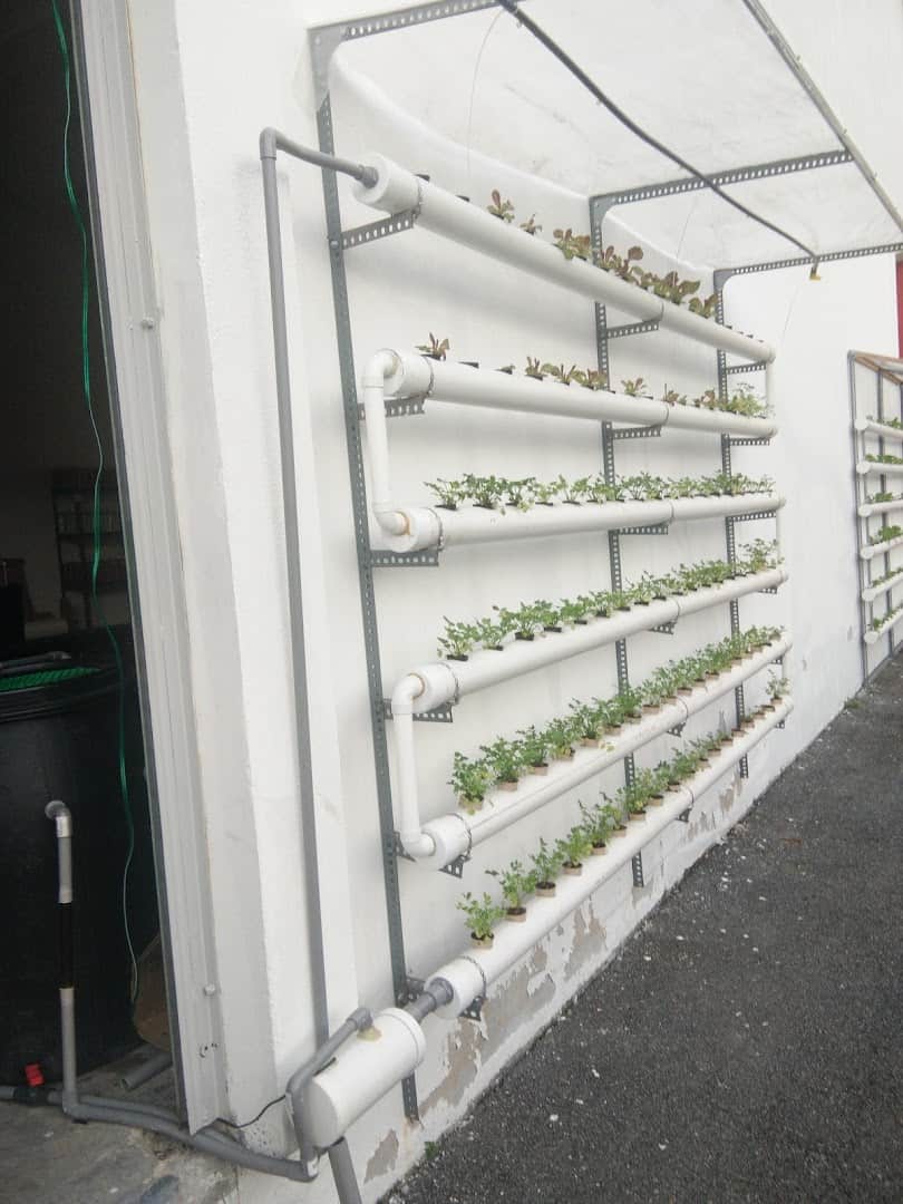 Berdua Urban Farming ( KEDAI PERTANIAN) Kedai Pertanian Selangor