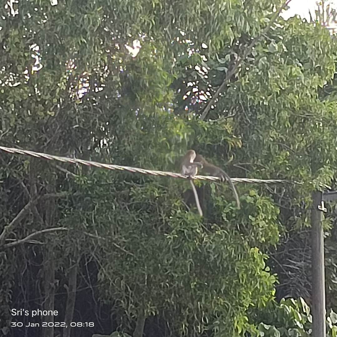 Kedai Barangan Logam (Hardware) Perniagaan Ismazah Kedai Hardware Selangor