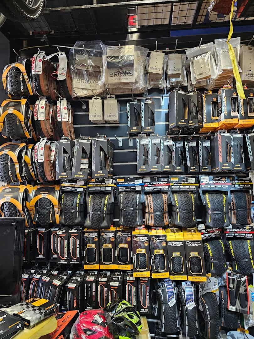 Perniagaan Eng Hern - Polygon, Marin, Tern Kedai Basikal Taiping