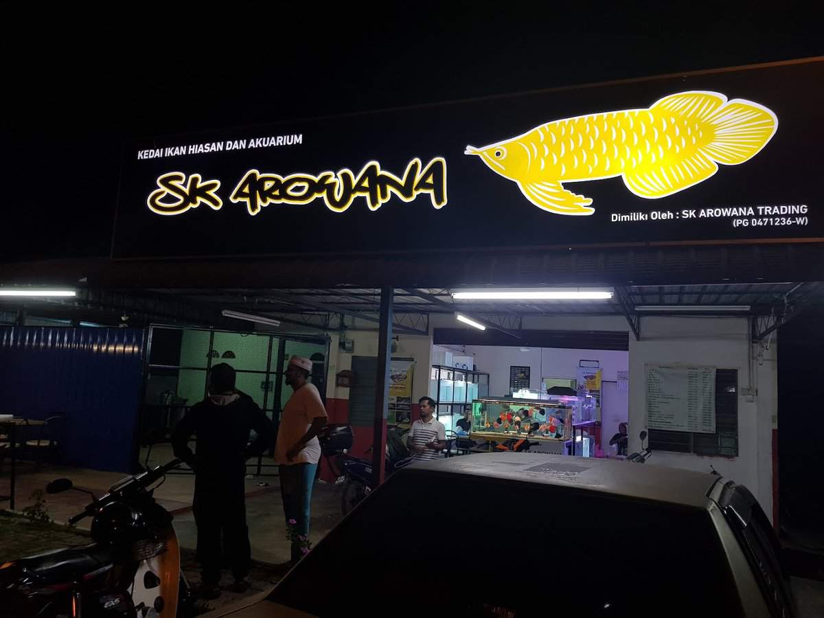 SK Arowana kedai ikan hiasan & akuarium Kedai Ikan Hias Pulau Pinang