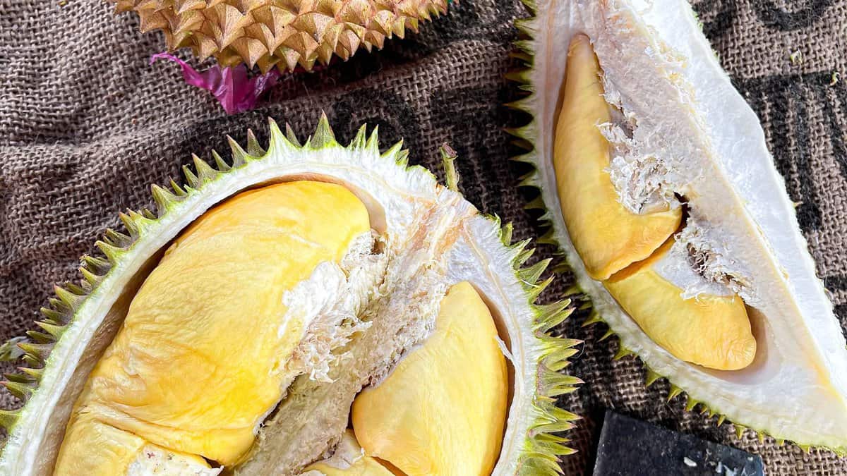 VVIP BARBERSHOP SHAH ALAM Kedai Gunting Rambut Shah Alam