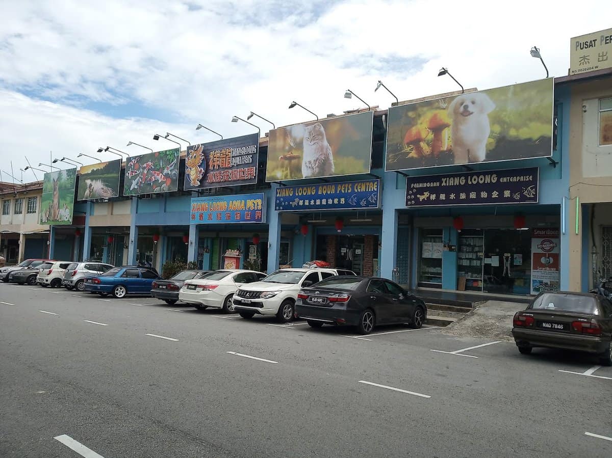 Xiang Loong Aqua Pets Seremban 2 Kedai Haiwan Negeri Sembilan