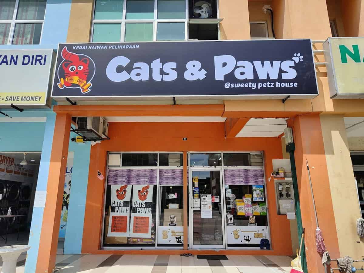 cats and paws @ sweety petz house Kedai Haiwan Puncak Alam