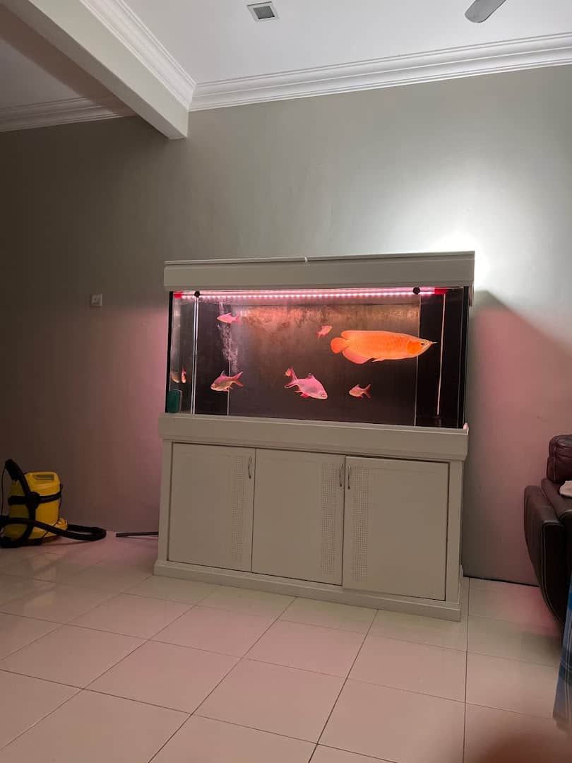 didot tukang elektronik, Putrajaya Kedai Elektrik Putrajaya