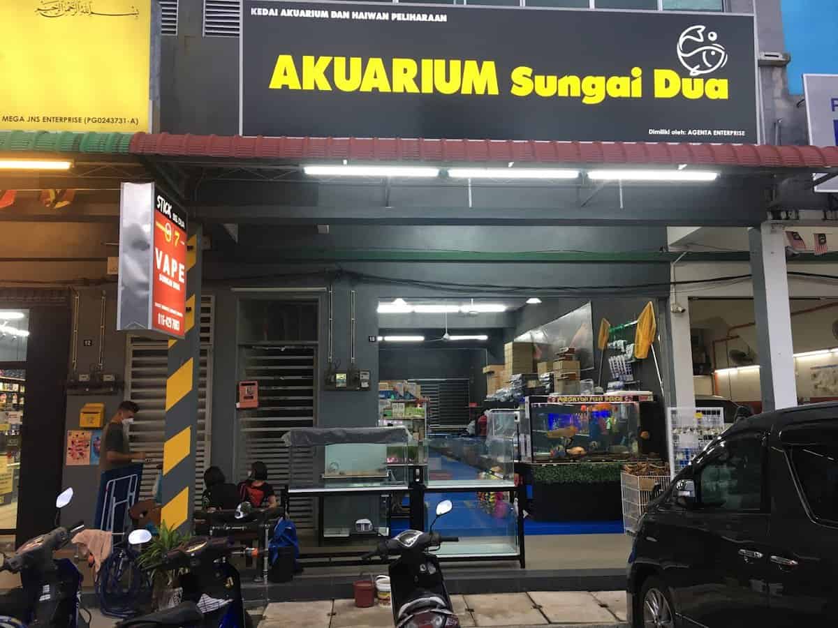 AKUARIUM SUNGAI DUA Kedai Ikan Hias Pulau Pinang