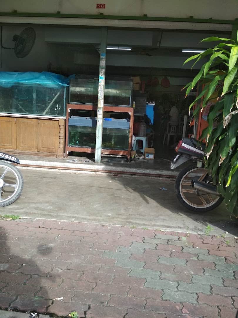 Akuarium Permai Kedai Pancing Semenyih