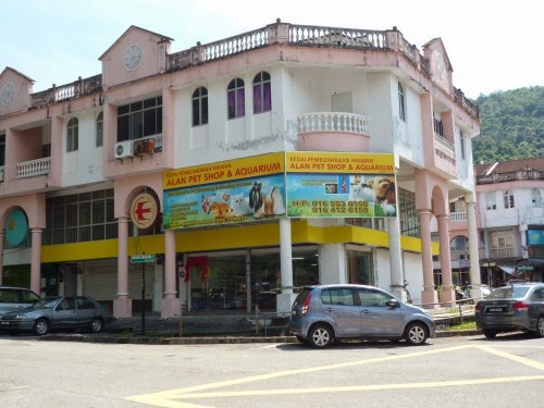 Alan Pet Shop & Aquarium #1 Kedai Haiwan Pulau Pinang