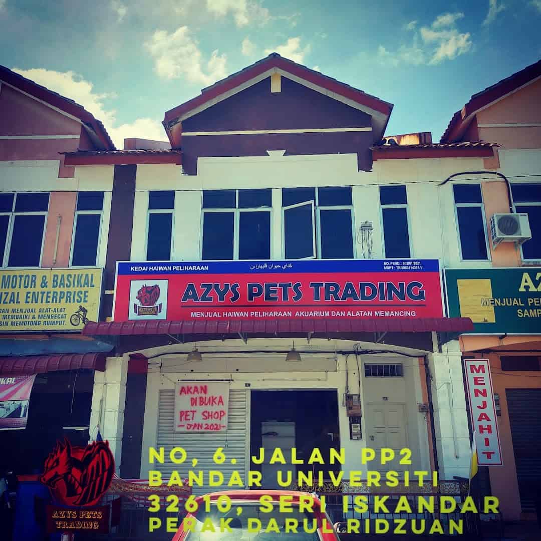 Azys Pets Trading Kedai Haiwan Perak