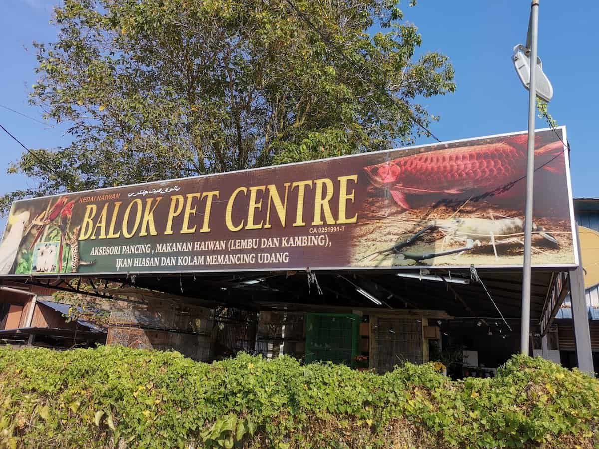 Balok Pet Centre Kedai Haiwan Pahang