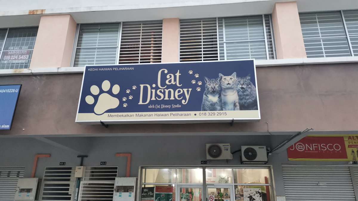 Cat Disney Studio Kedai Haiwan Puncak Alam