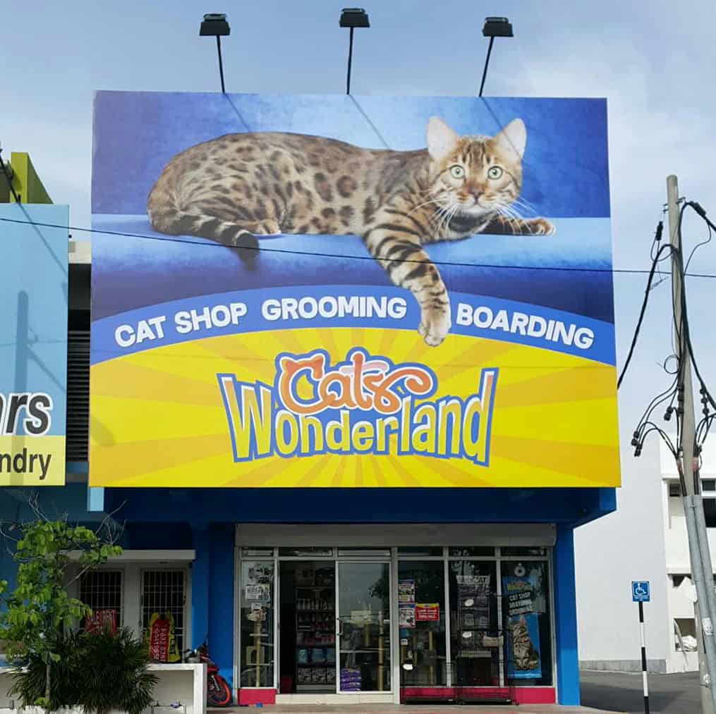 Cats Wonderland Puncak Alam Kedai Haiwan Puncak Alam