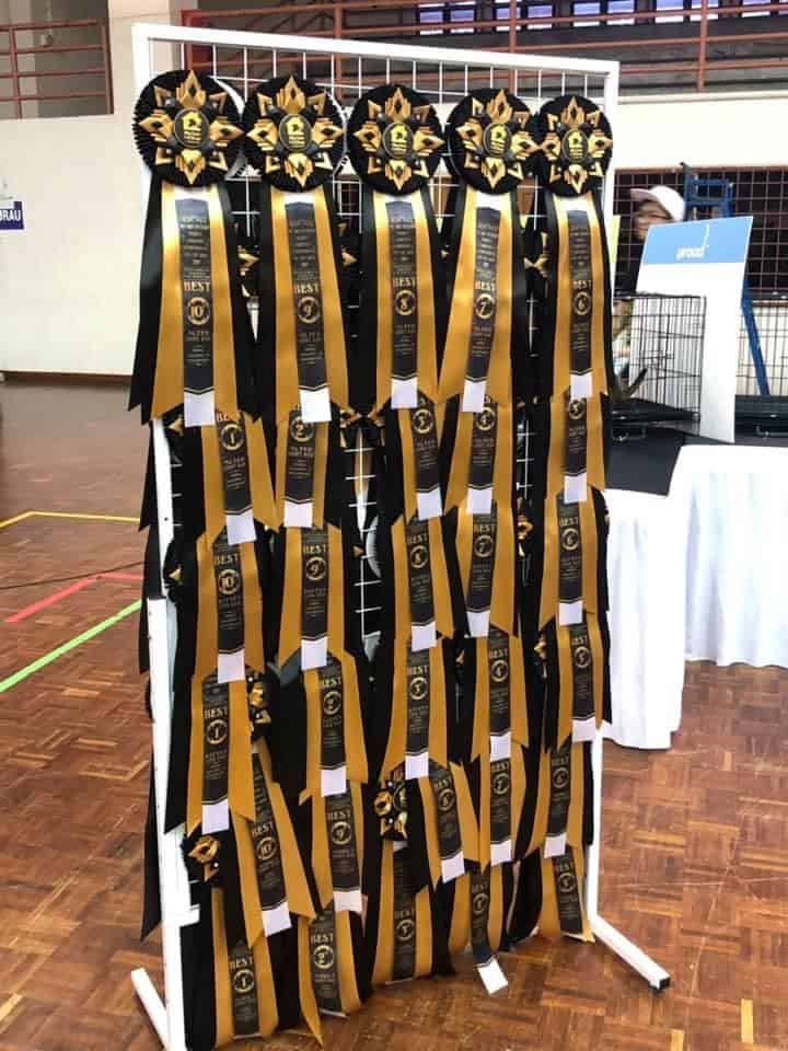 Catz In Style Kedai Haiwan Puncak Alam