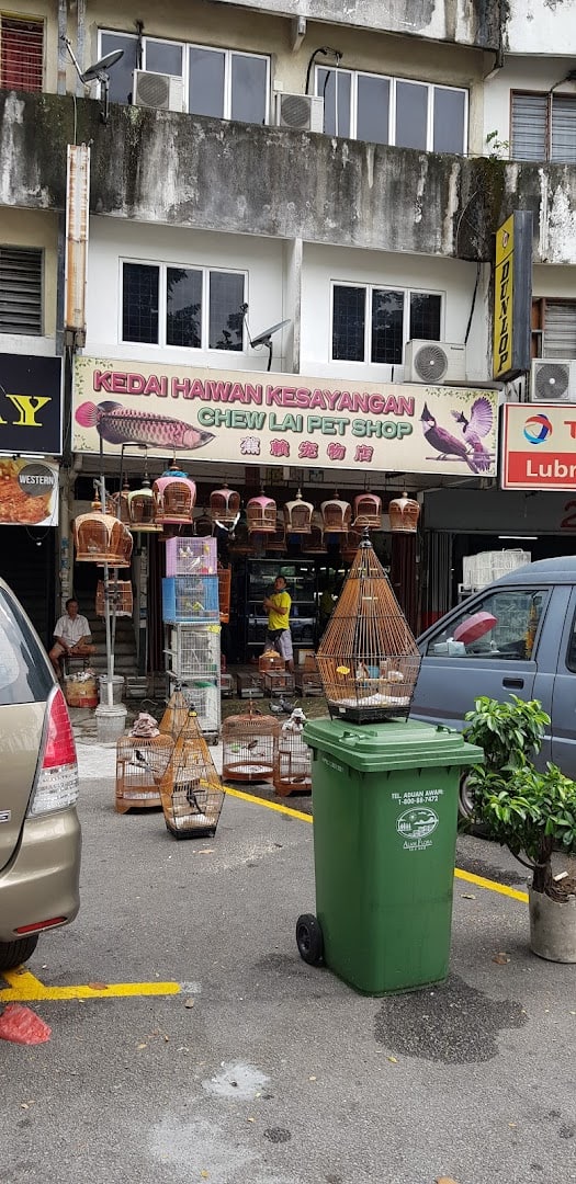 Chew Lai Pet Shop Kedai Haiwan Kuala Lumpur