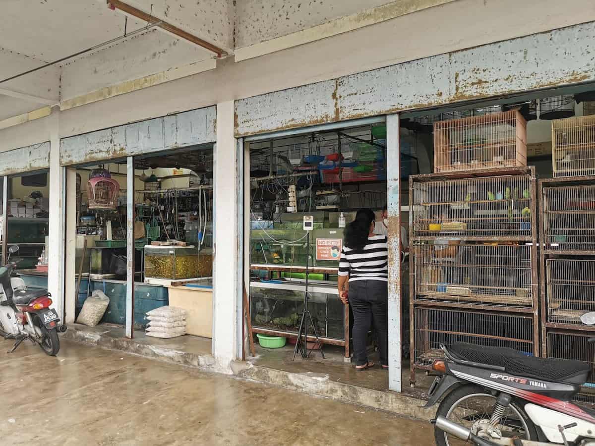 D Fish Home Centre Kedai Ikan Hias Perak