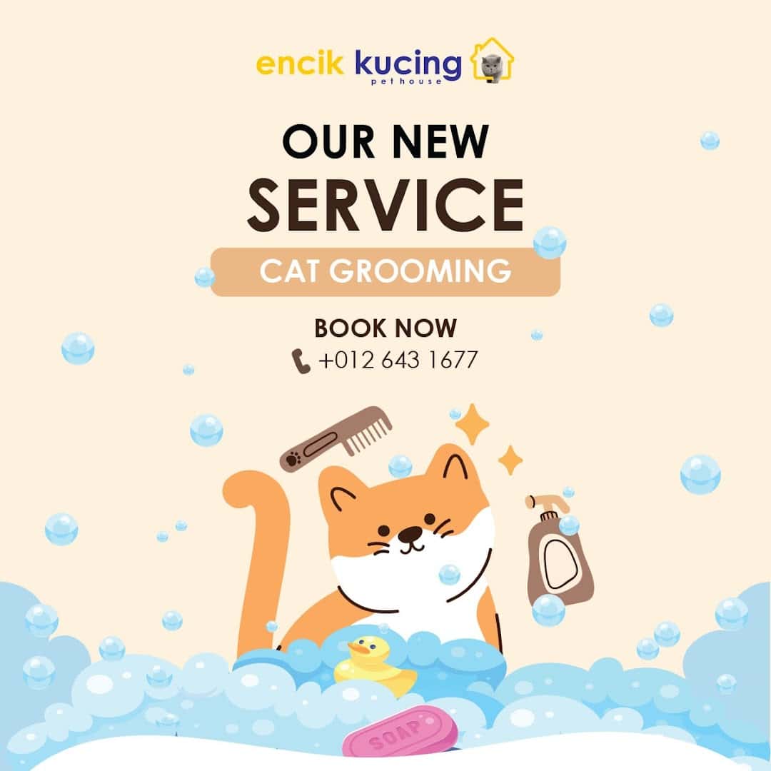 Encik Kucing Pet House Kedai Kucing Putrajaya