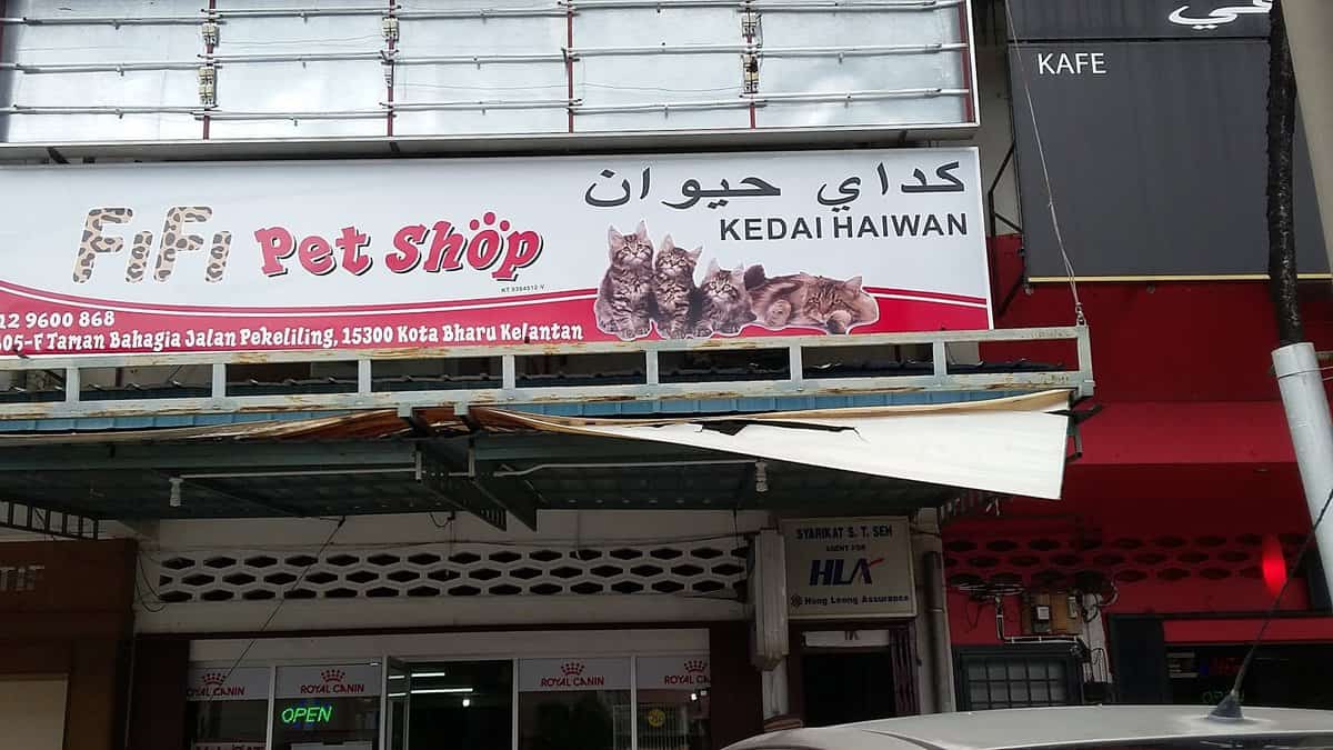 FiFi Pet Shop Kedai Haiwan Kelantan