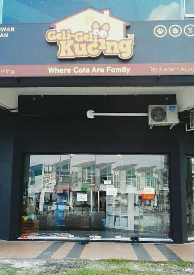 Geli Geli Kucing - Meru, Ipoh Kedai Haiwan Perak