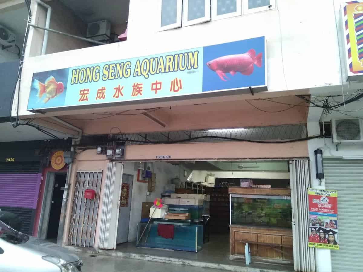 Hong Seng Aquarium Kedai Pancing Port Dickson
