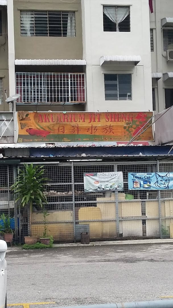 Jit Sheng Aquarium Kedai Ikan Hias Pulau Pinang
