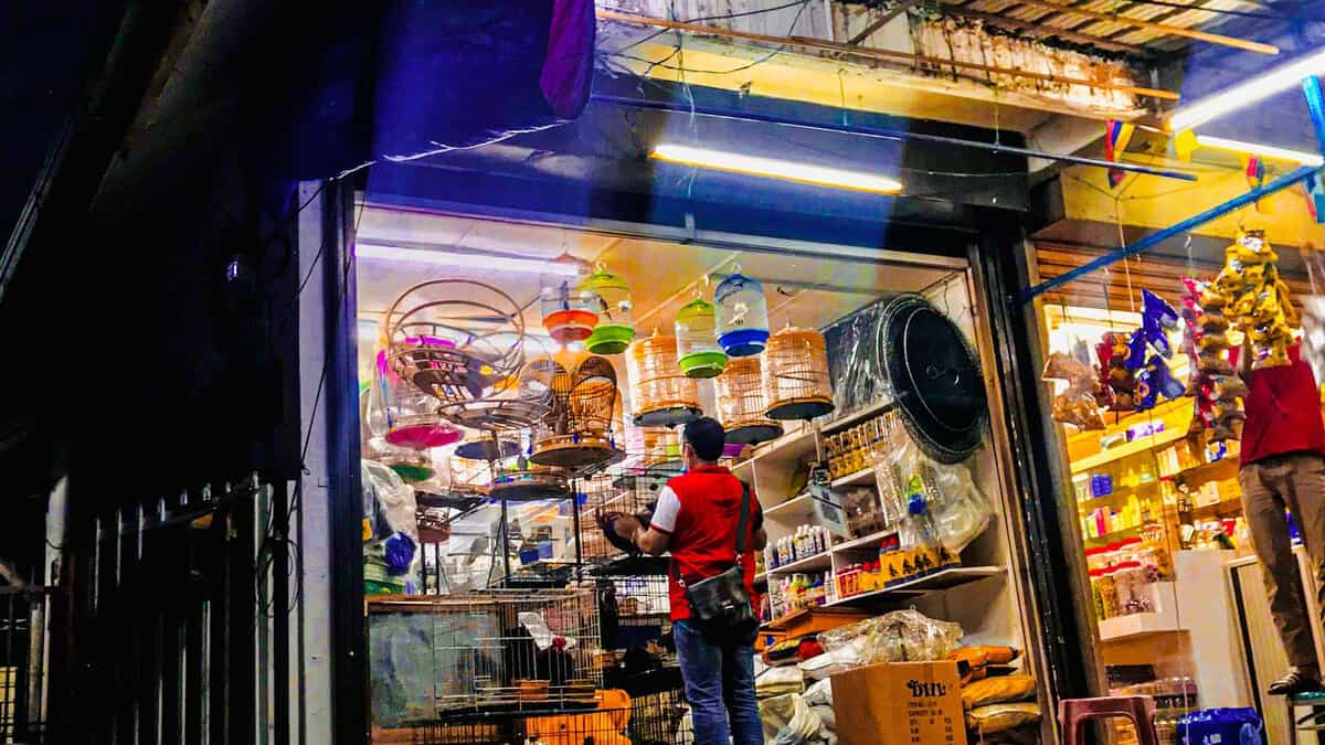 Kedai Haiwan Aisy Naufal Kedai Haiwan Ampang