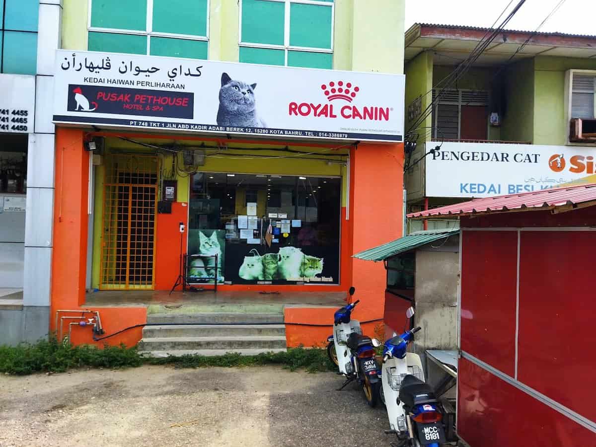 Kedai Haiwan Pusak Pethouse Kedai Haiwan Kelantan