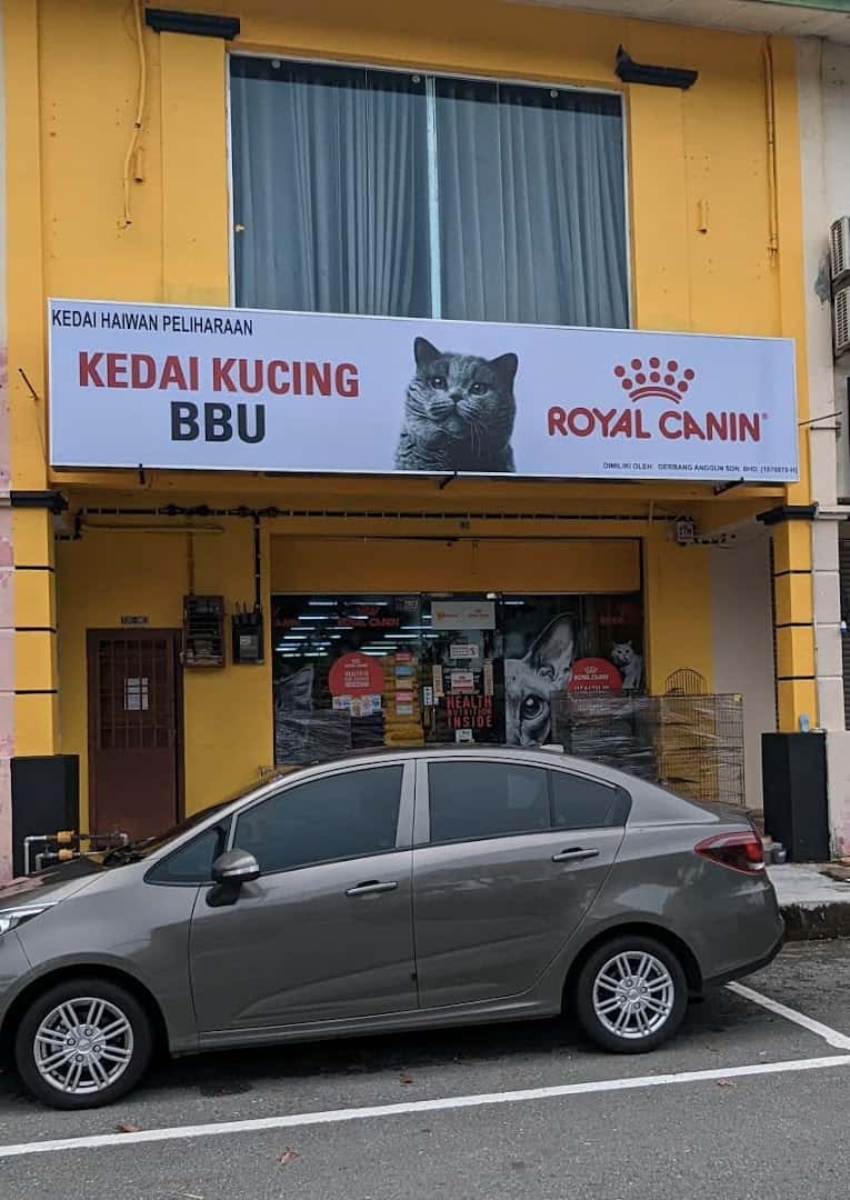 Kedai Kucing Bbu Kedai Haiwan Johor