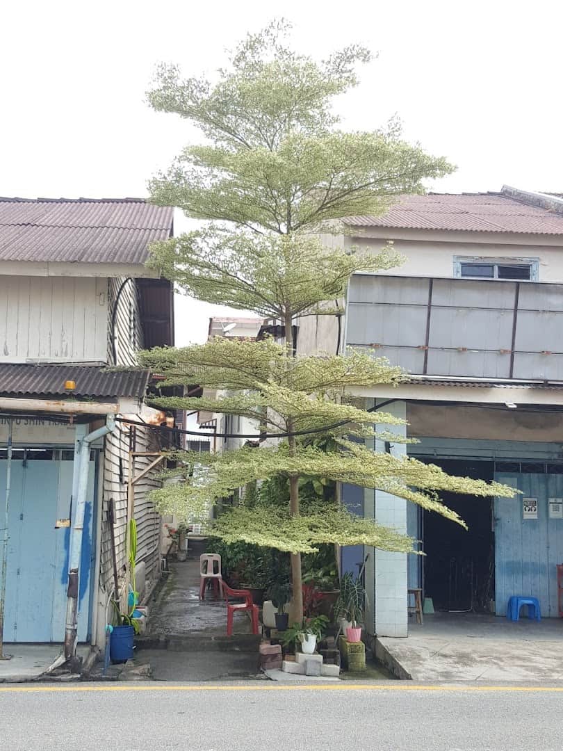 Kedai Sewa Basikal JFS Kedai Basikal Melaka