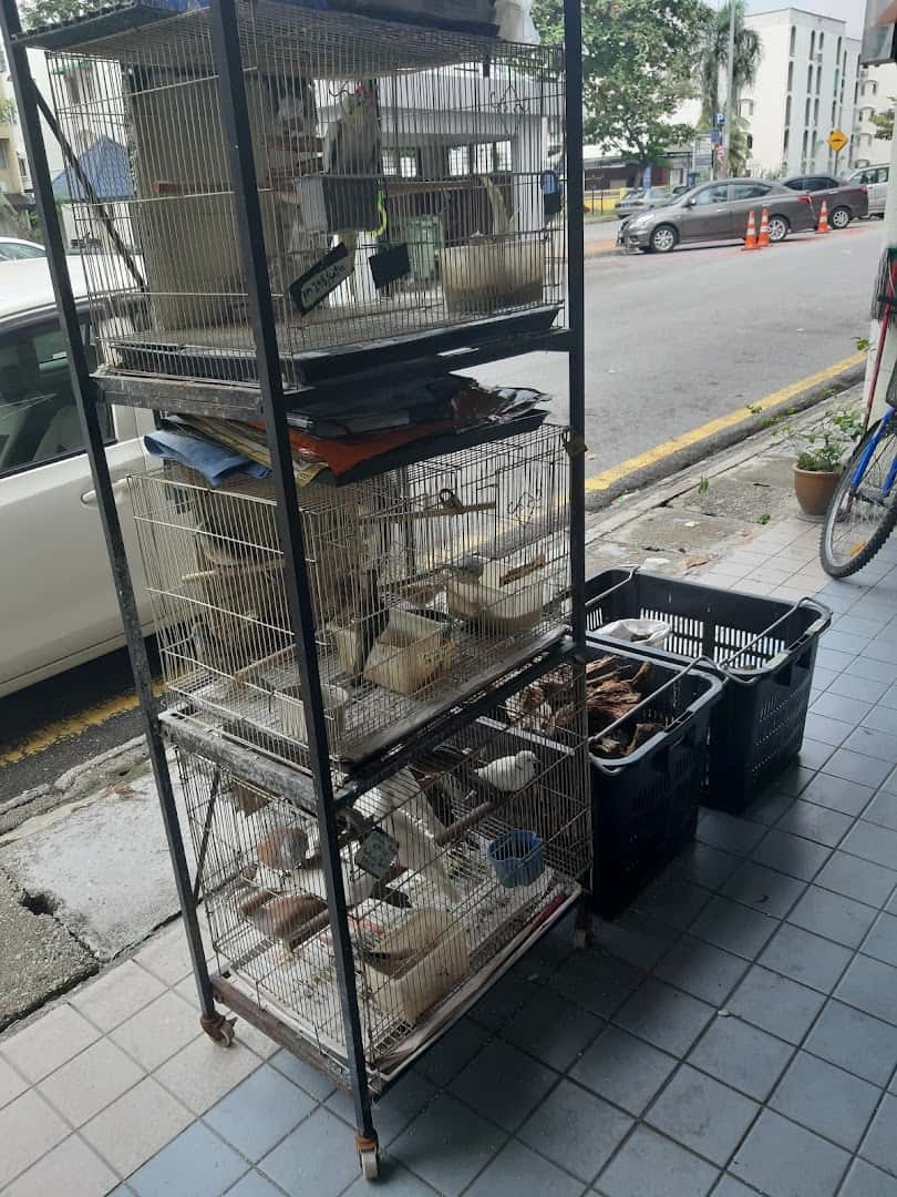 Kiddee Pet Store Kedai Haiwan Kuala Lumpur