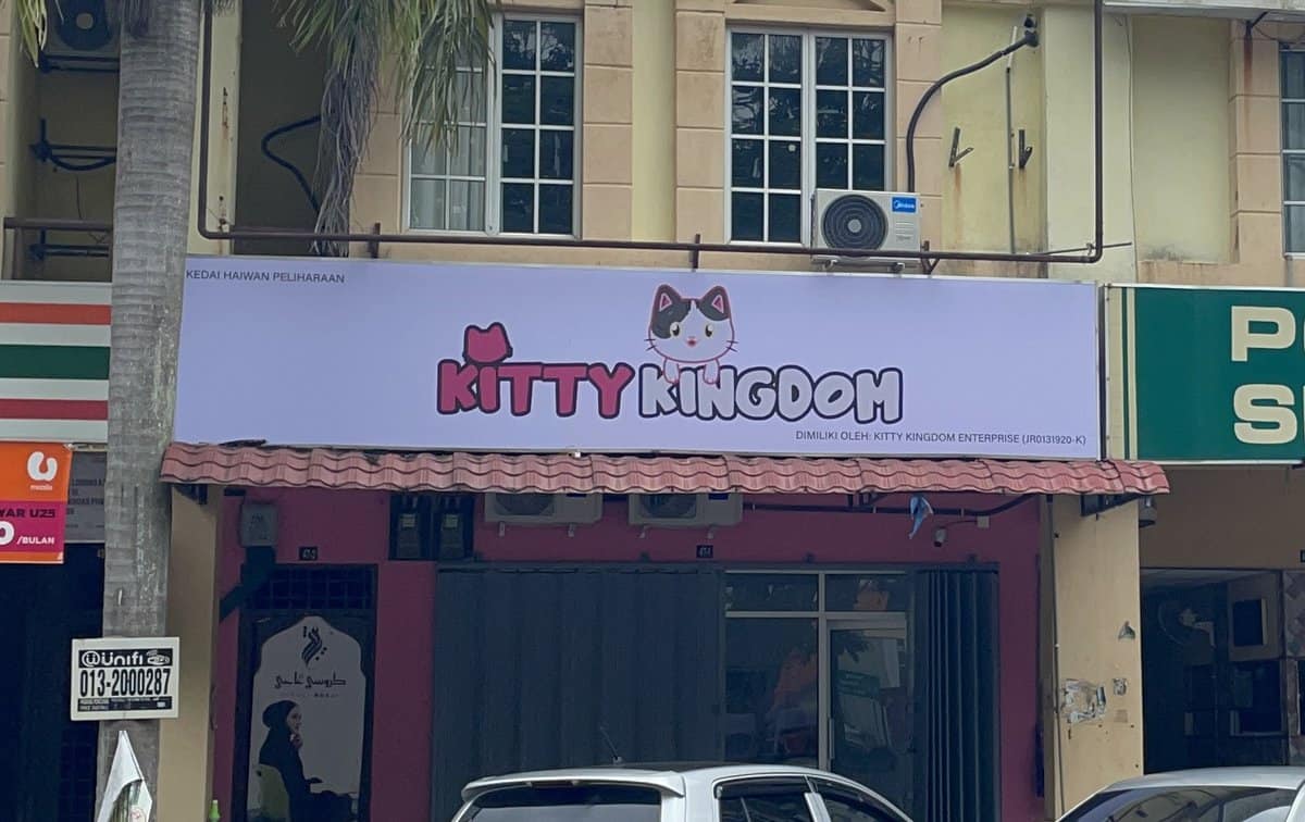 Kitty Kingdom Pet Shop Kedai Haiwan Puncak Alam