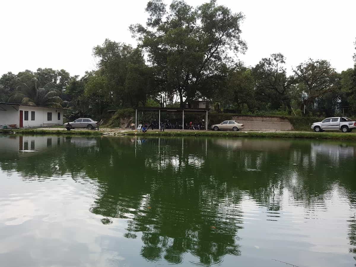 Kolam Pancing Big Boss Kedai Pancing Rawang