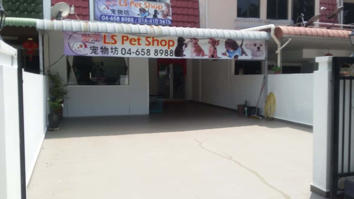 LS Pet Shop Kedai Haiwan Pulau Pinang