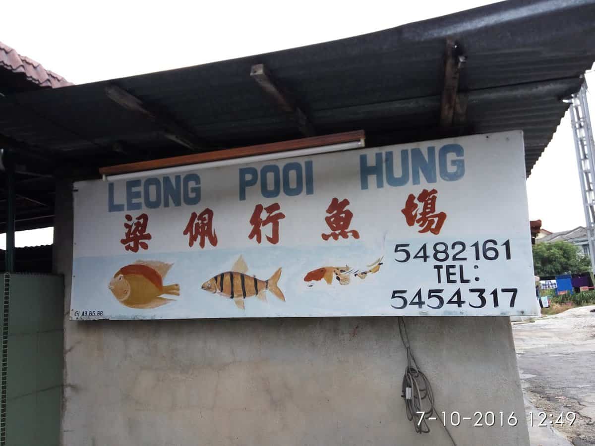 Leong Pooi Hung Aquarium Kedai Aquarium Perak