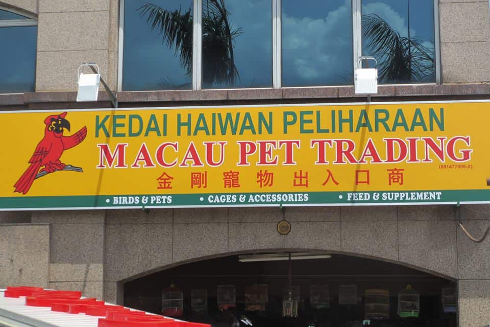 Macau pet trading Kedai Haiwan Kuala Lumpur
