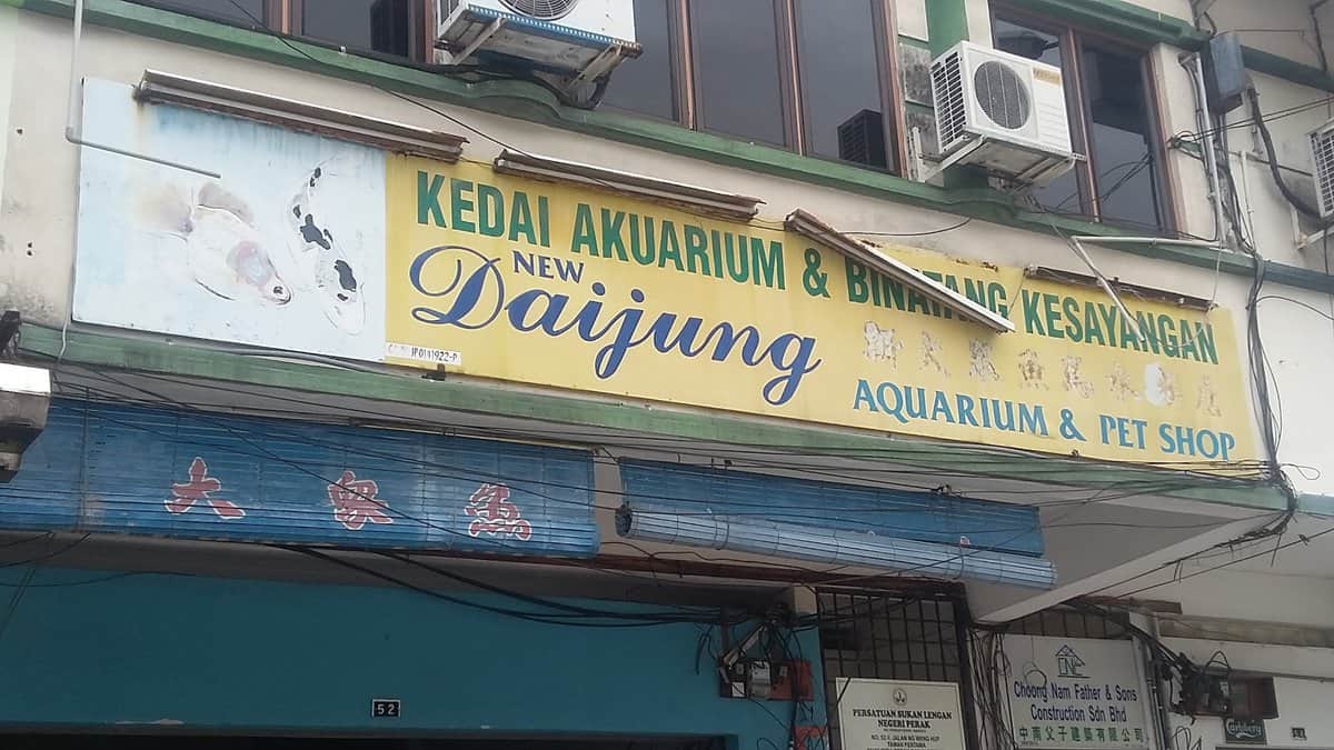 New Daijung Aquarium & Pets Shop Kedai Aquarium Perak