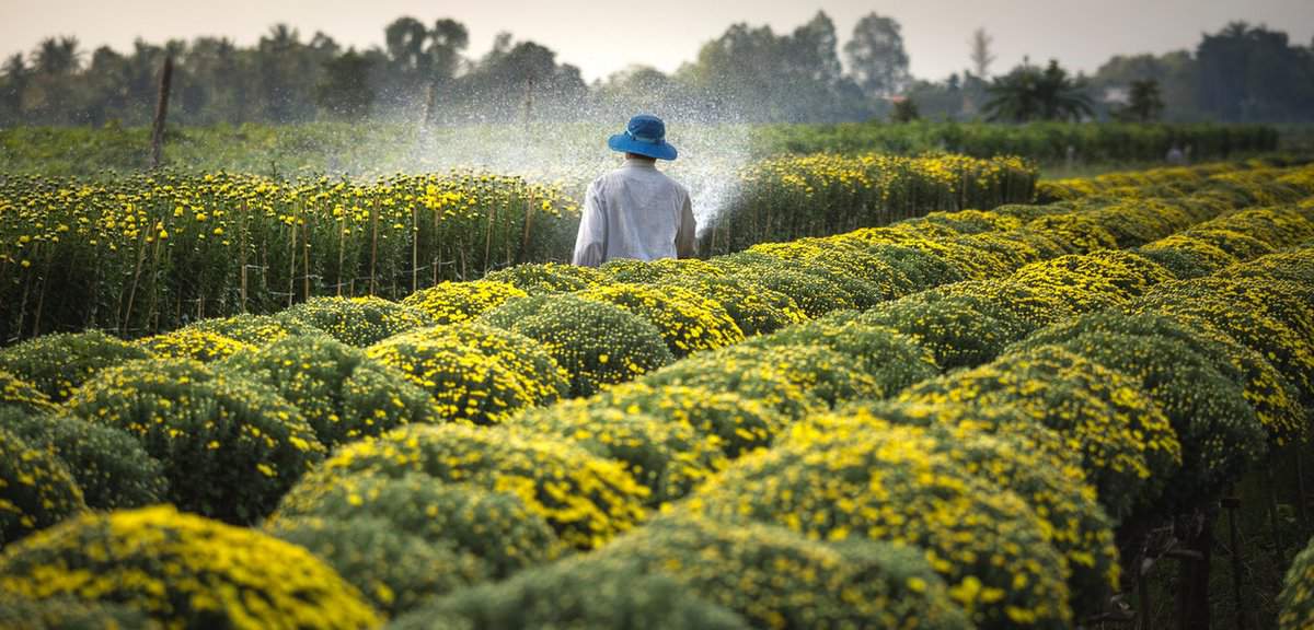 North Pan AgroScience Kedai Pertanian Alor Setar
