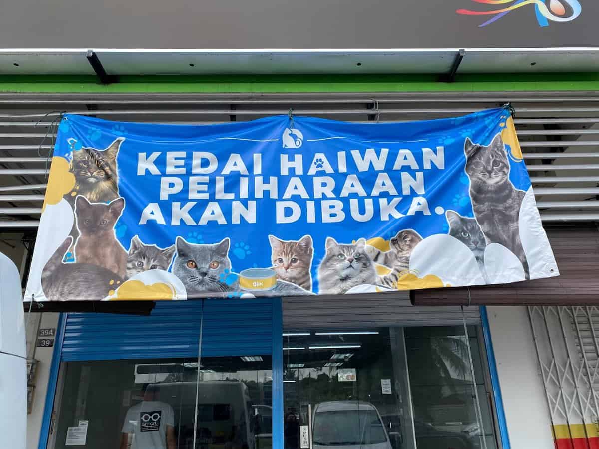Petvolusi Kedai Kucing Bangi