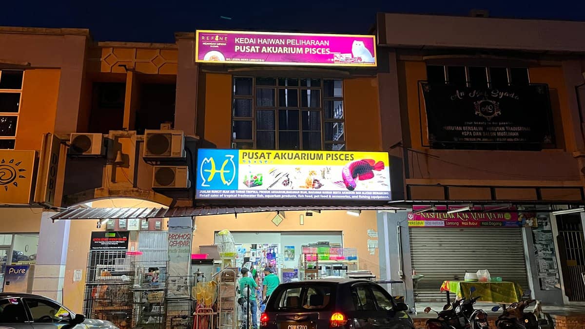 Pusat Akuarium Pisces Kedai Haiwan Puncak Alam