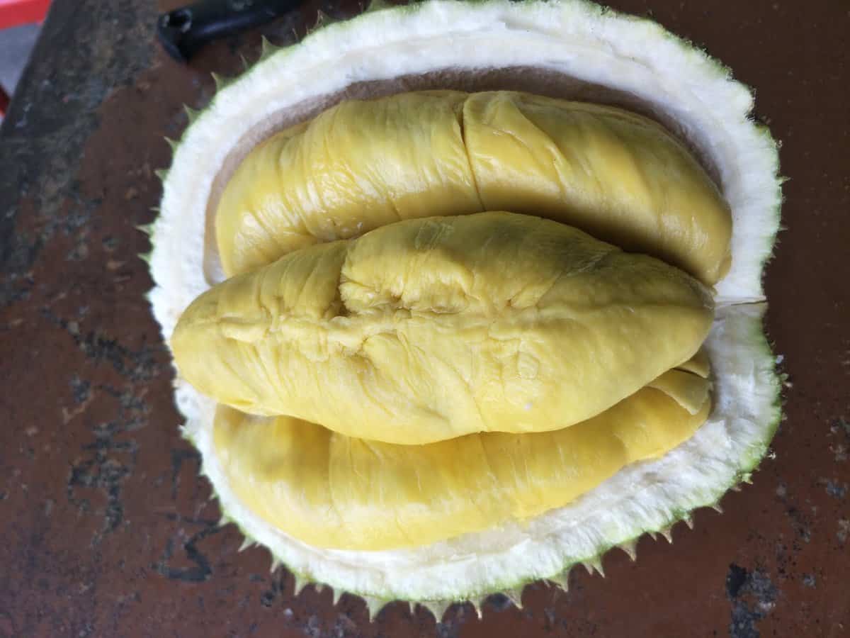 Restoran Fariesha Kedai Makan Seri Iskandar