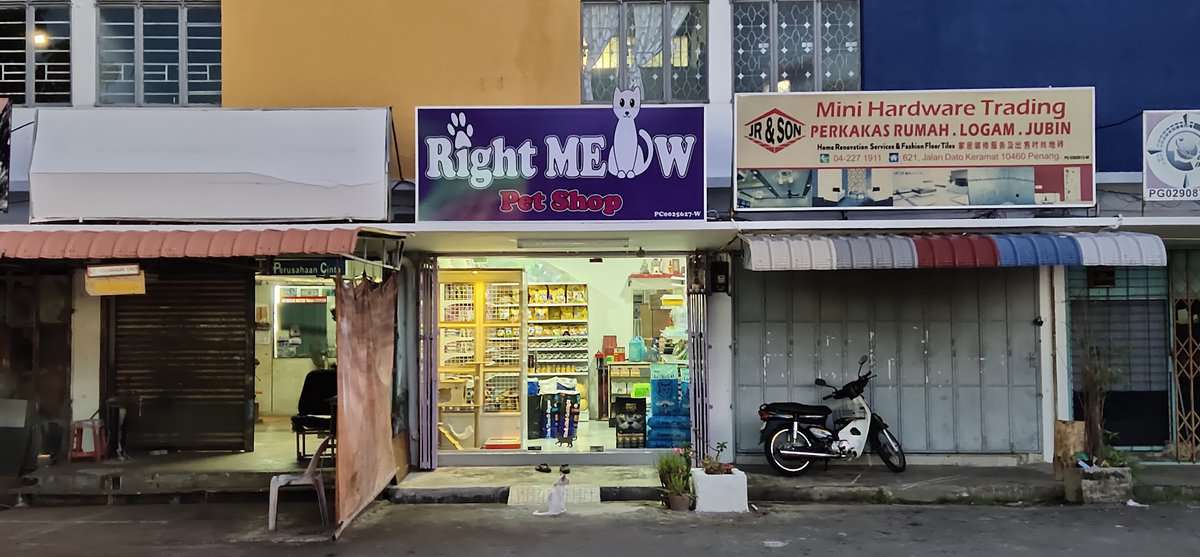 Right Meow Pet Shop Kedai Haiwan Pulau Pinang