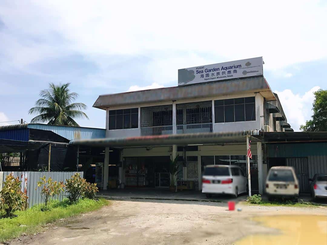 Sea Garden Aquarium Kedai Ikan Hias Pulau Pinang
