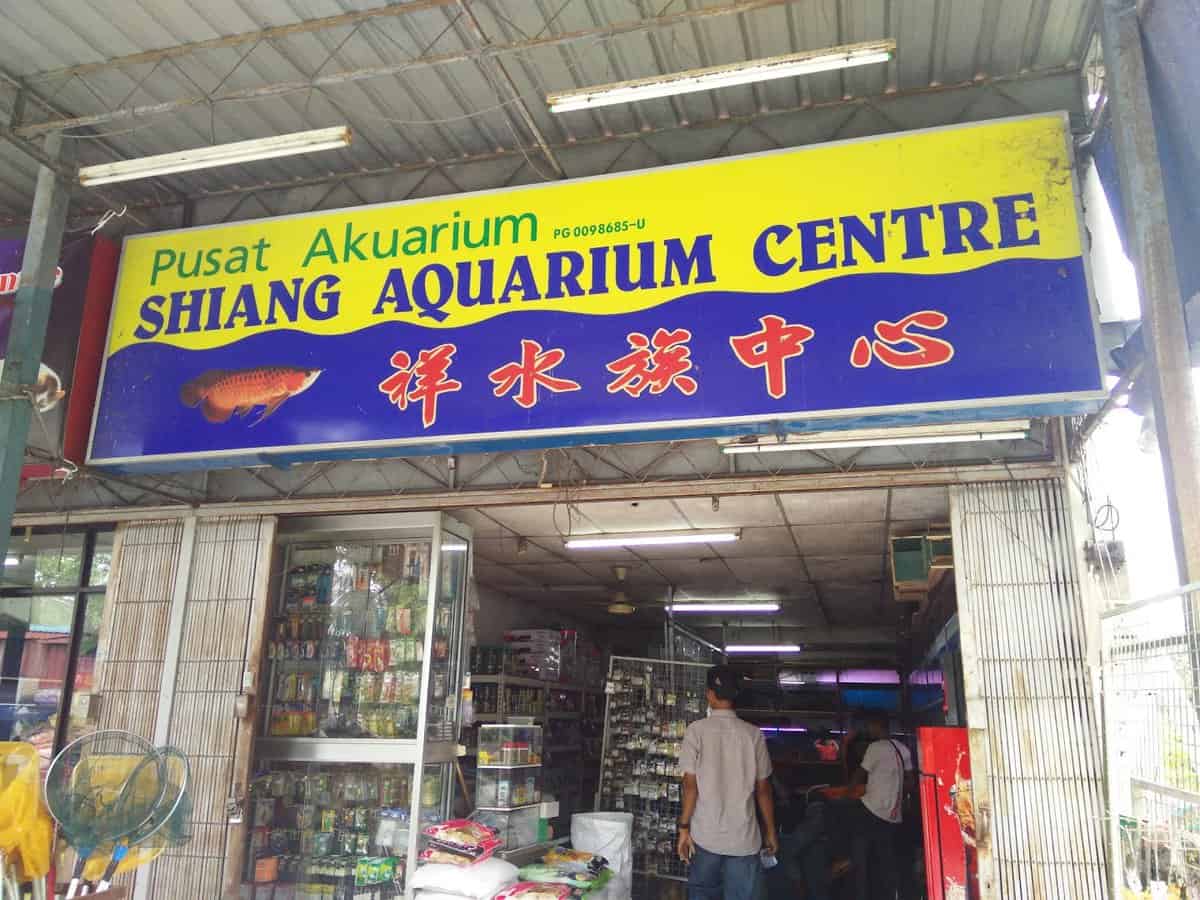 Shiang Aquarium Centre Kedai Ikan Hias Pulau Pinang