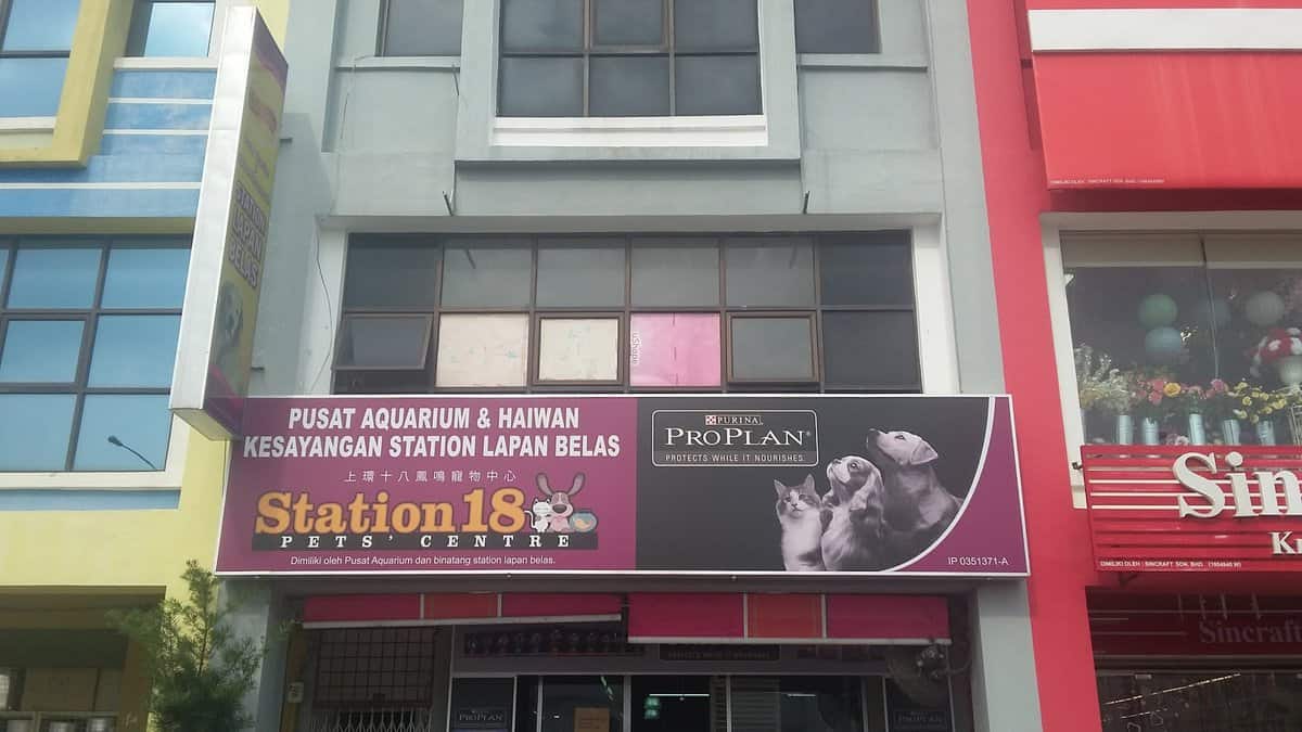 Station 18 Pets Centre Kedai Haiwan Perak