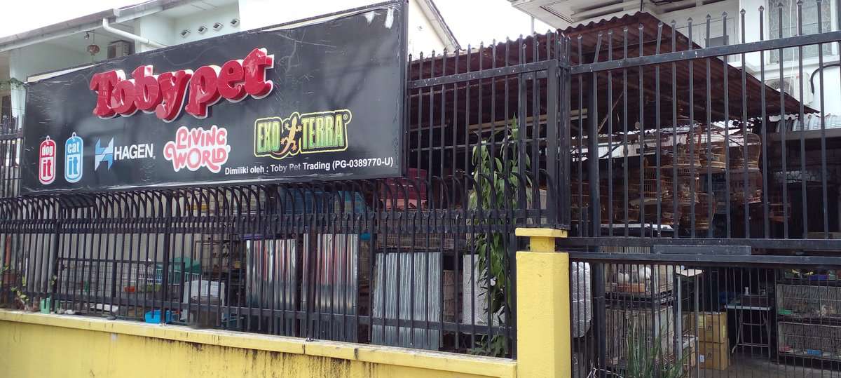 Toby Pet Trading Kedai Haiwan Pulau Pinang