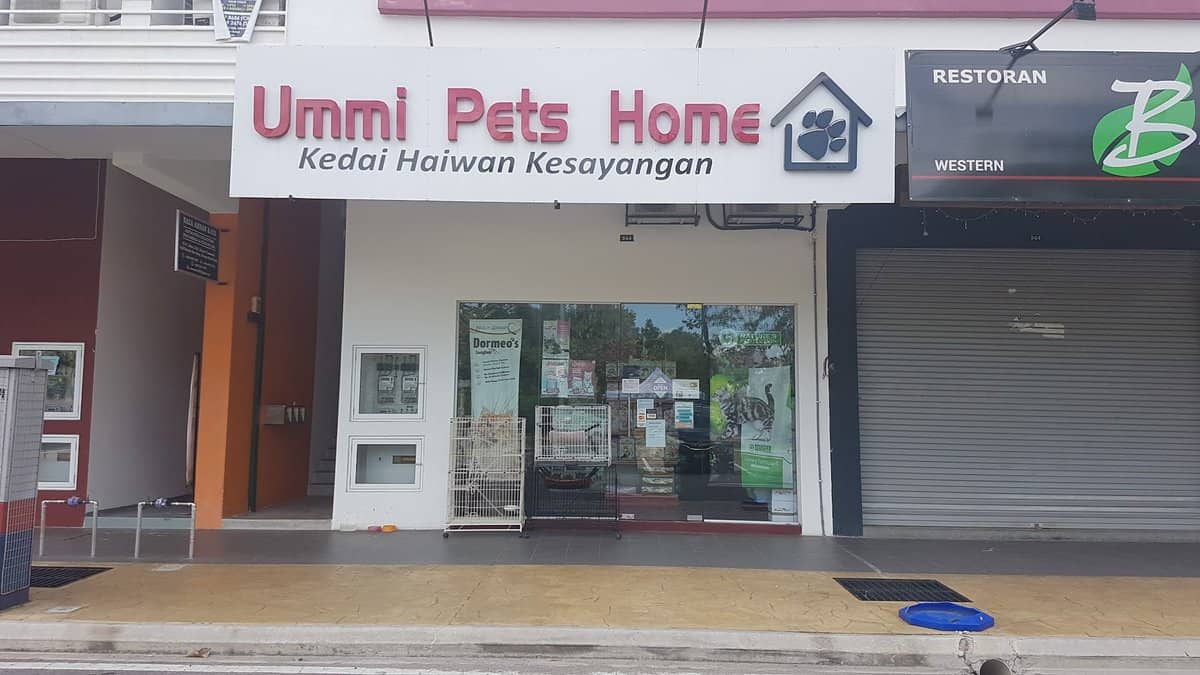 Ummi Pets Home Kedai Kucing Bangi