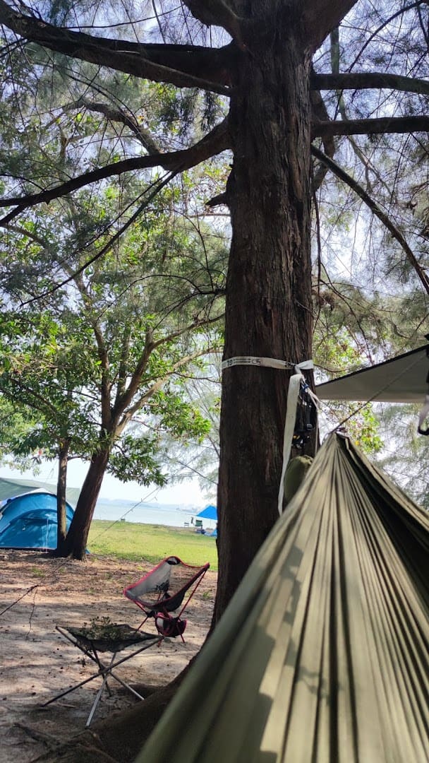 Umpan PD (Batu 4, FB: Pancing's) Kedai Pancing Port Dickson