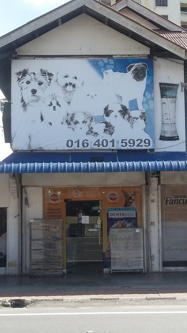 Wonderland Petshop Kedai Haiwan Pulau Pinang