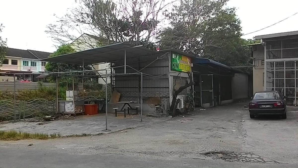 World One Pets Enterprise Kedai Haiwan Pulau Pinang