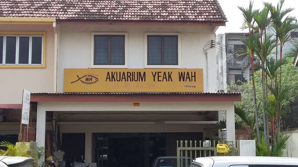 Yeak Wah Aquarium Kedai Aquarium Perak