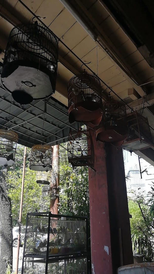 Yew Ly Pets Shop Kedai Haiwan Pulau Pinang